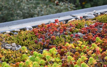 the cost of Ocraquoy green roof installation