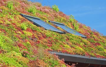 Ocraquoy living roof systems